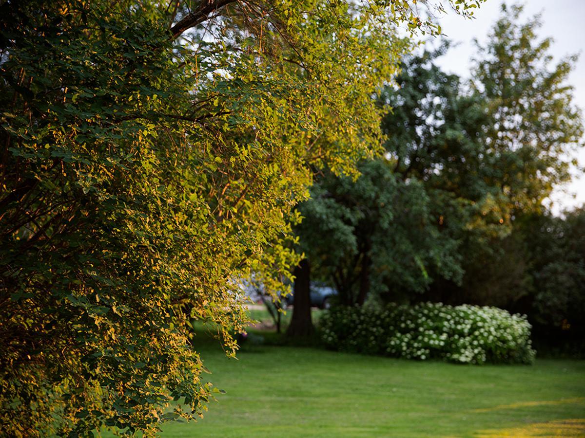 Brooksbnb Sussex Dış mekan fotoğraf